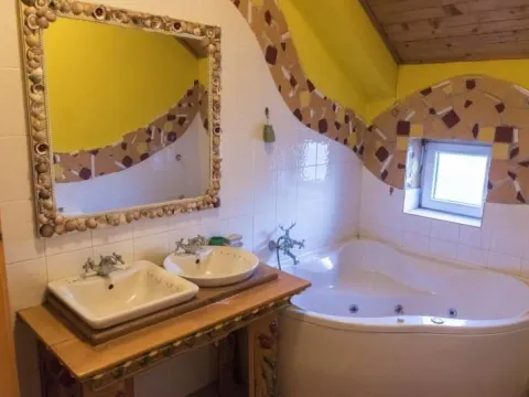 Prodaja, kuća, 587m², Sremska Kamenica, Petrovaradin - image 3