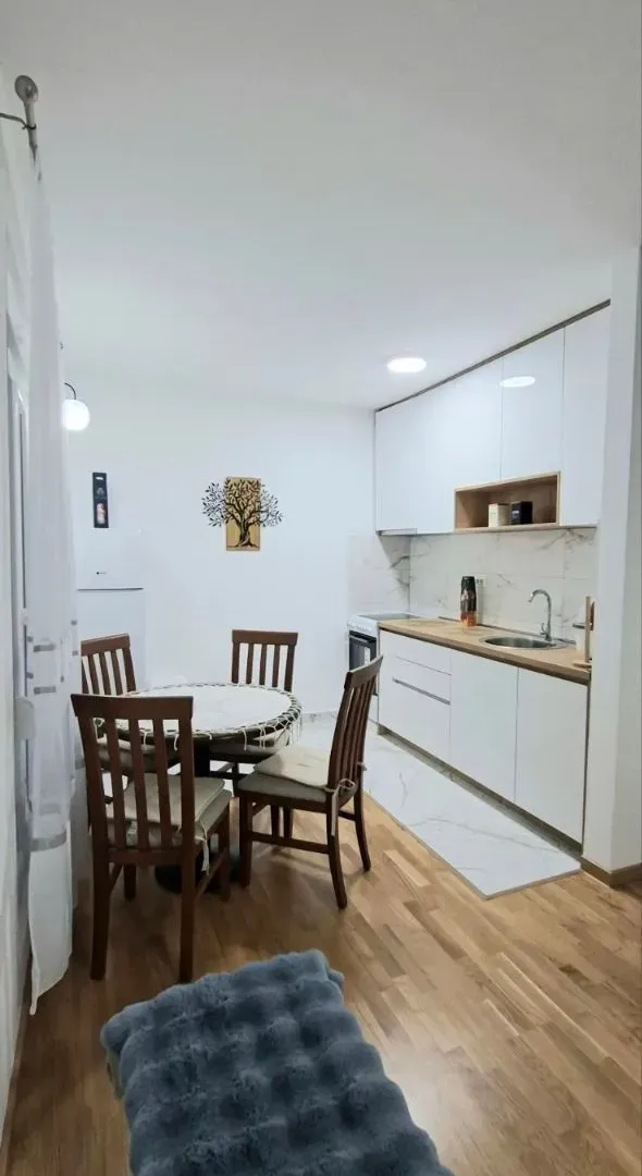 Rent, one bedroom apartment, 47m², Zagorič, Podgorica