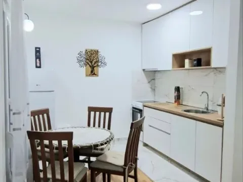 Izdavanje, jednosoban stan, 47m², Zagorič, Podgorica - image 2