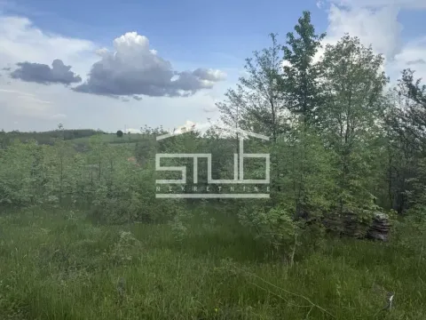 Sale, land lot, 18600m², Kosmaj, Sopot - image 9