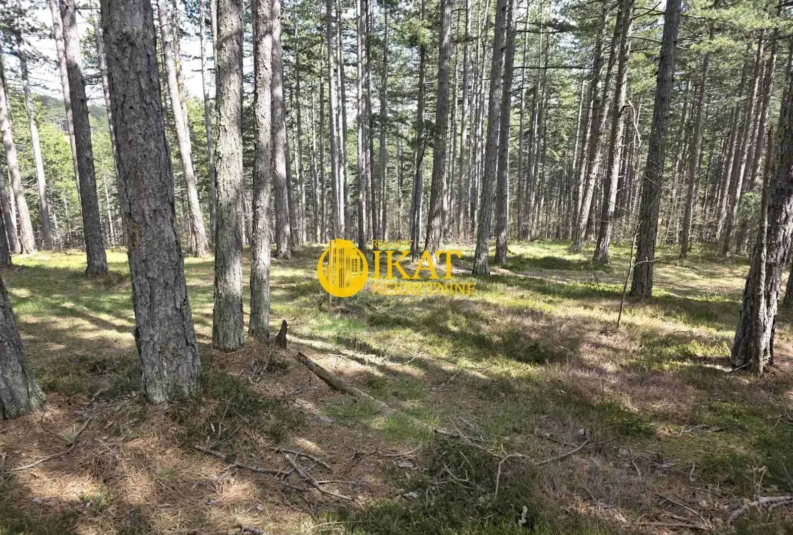 Prodaja, plac, 1272m², Tara, Srbija