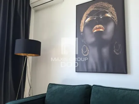 Izdavanje, jednosoban stan, 52m², Savski Venac, Beograd - image 16