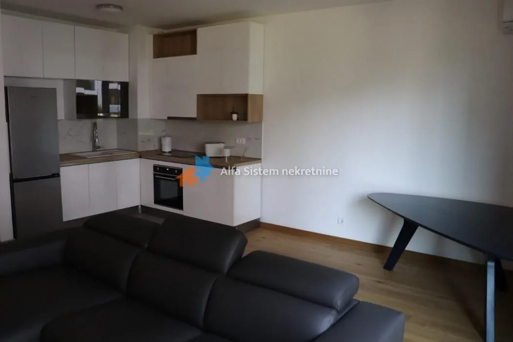 Izdavanje, dvosoban stan, 54m², Novi Beograd Blok 65, Novi Beograd Sve Podlokacije