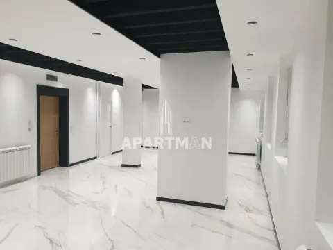 Izdavanje, poslovni prostor, 65m², Vračar Sve Podlokacije, Beograd - image 5