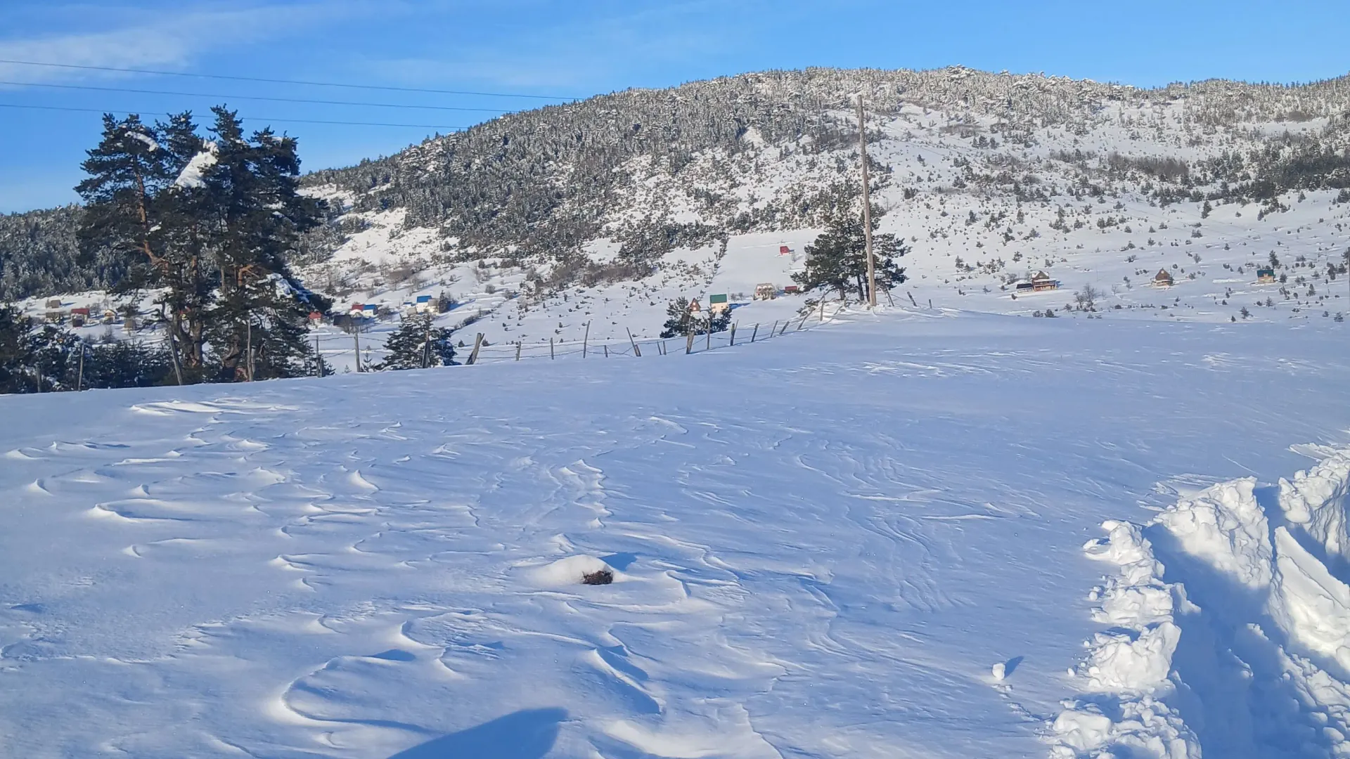 Prodaja, plac, 3000m², Borje, Žabljak