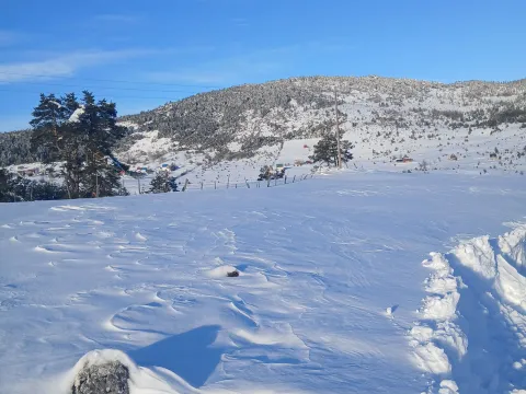 Prodaja, plac, 3000m², Borje, Žabljak - image 6