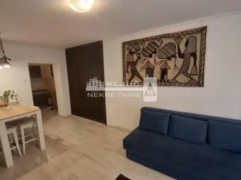 Izdavanje, jednosoban stan, 30m², Vračar Centar, Vračar Sve Podlokacije - image 9