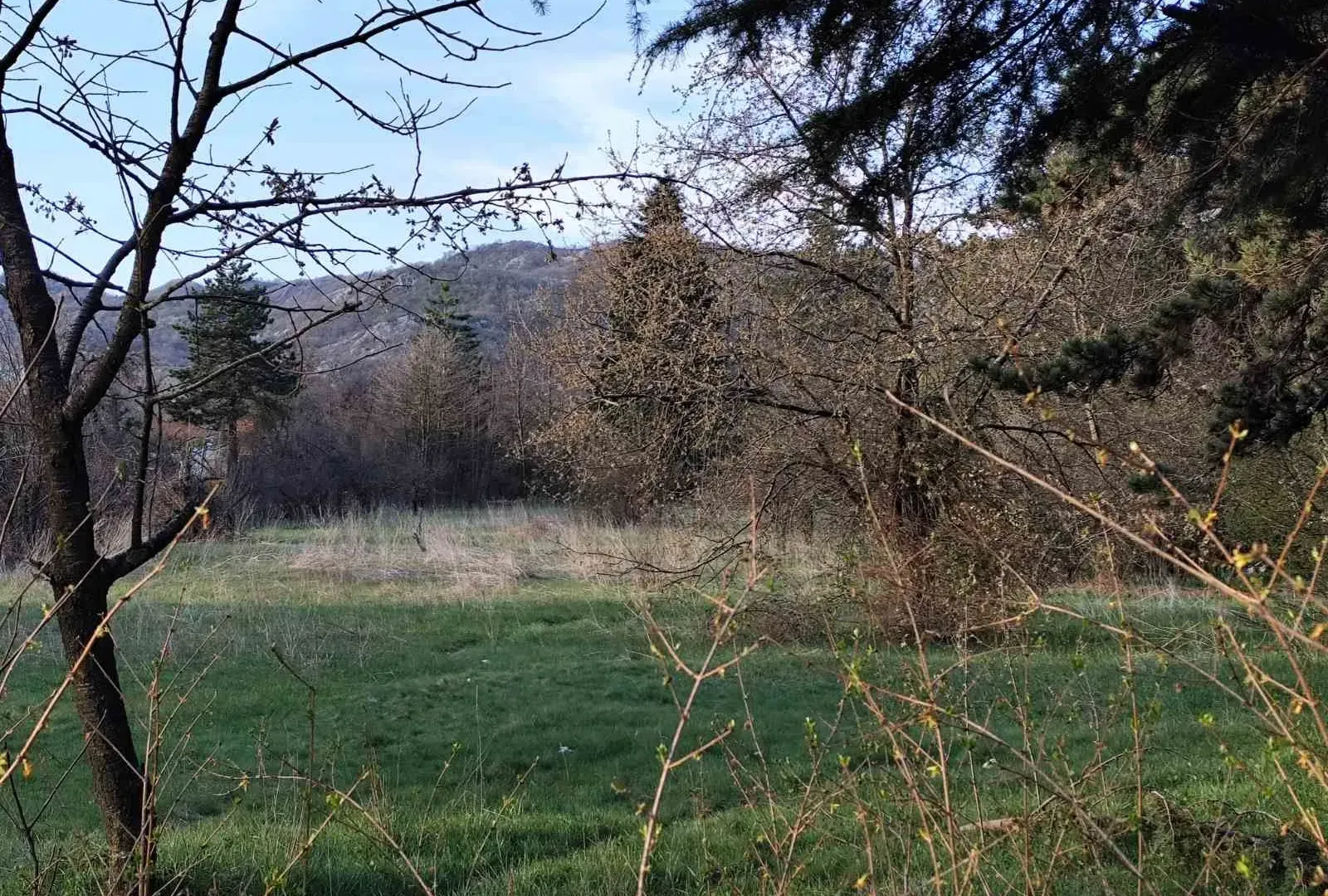 Prodaja, plac, 14290m², Cetinje, Crna Gora