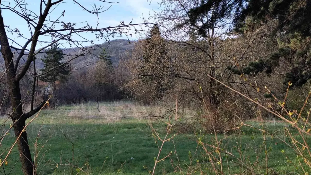 Sale, land lot, 14290m², Cetinje, Crna Gora