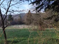 Sale, land lot, 14290m², Cetinje, Crna Gora - image 1