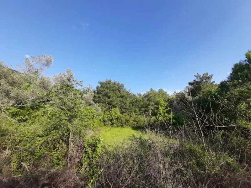 Prodaja, plac, 350m², Kavač, Kotor