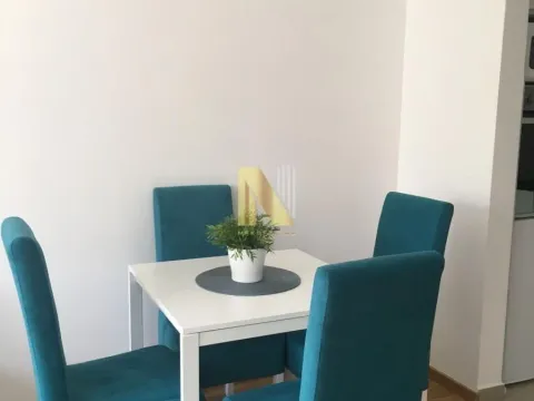 Izdavanje, dvosoban stan, 39m², Kej, Novi Sad Sve Podlokacije - image 7