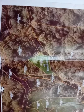 Prodaja, plac, 50000m², Bar, Crna Gora - image 2