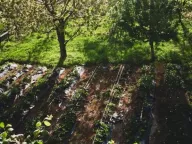 Prodaja, kuća, 200m², Donji Kokoti, Podgorica - image 32