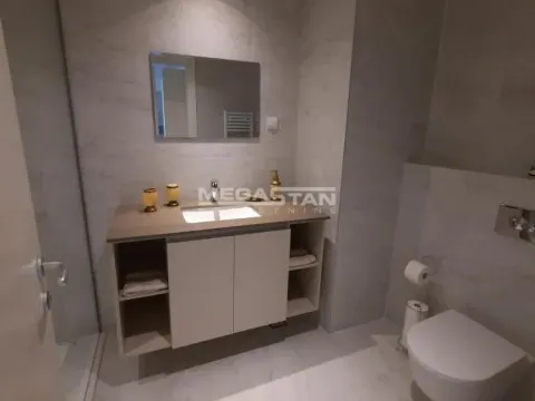 Izdavanje, dvosoban stan, 54m², Savski Venac, Beograd - image 7