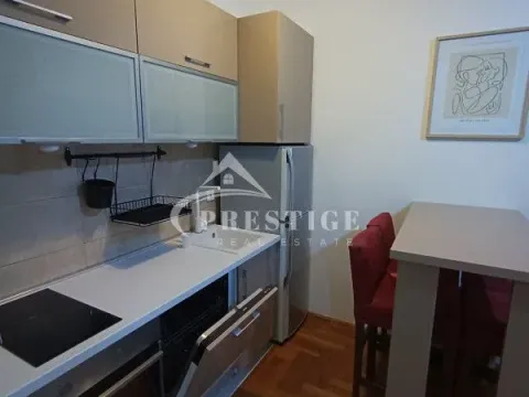 Izdavanje, jednosoban stan, 45m², Zabjelo, Podgorica - image 2