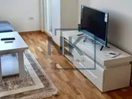 Izdavanje, jednosoban stan, 46m², Stari Aerodrom, Podgorica - image 5