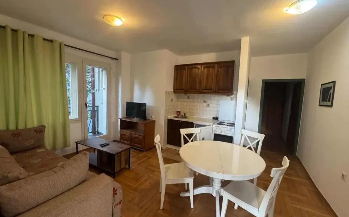 Izdavanje, jednosoban stan, 50m², Stari Aerodrom, Podgorica