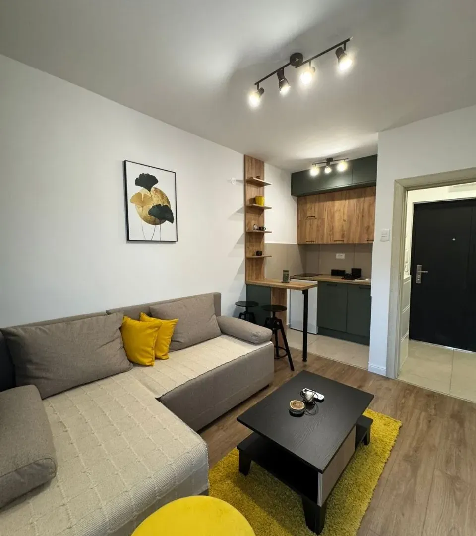 Izdavanje, jednosoban stan, Stari Aerodrom, Podgorica