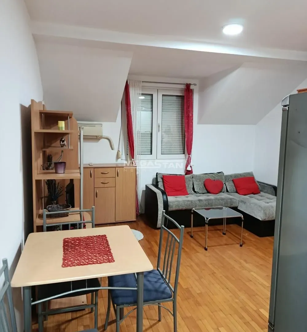 Izdavanje, stan, 23m², Krnjaca, Palilula Sve Podlokacije