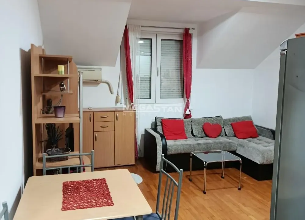 Izdavanje, stan, 23m², Krnjaca, Palilula Sve Podlokacije