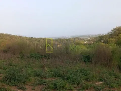 Prodaja, plac, 10700m², Kolomza, Ulcinj - image 4