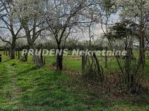 Prodaja, kuća, 40m², Sremski Mihaljevci, Pećinci - image 2