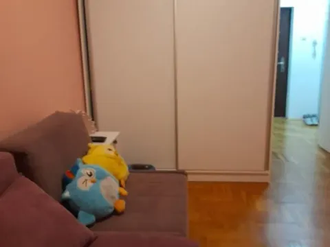 Prodaja, dvosoban stan, 52m², Bulevar Evrope, Novi Sad Sve Podlokacije - image 9