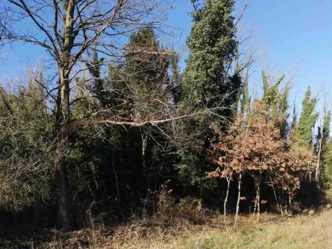 Prodaja, plac, 6100m², Orja Luka, Danilovgrad - image 5