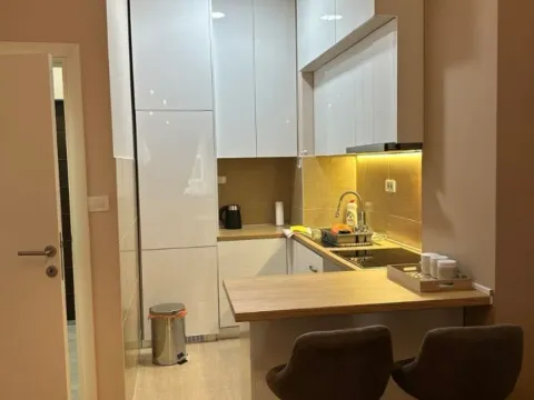 Rent, one bedroom apartment, 45m², Zabjelo, Podgorica - image 3