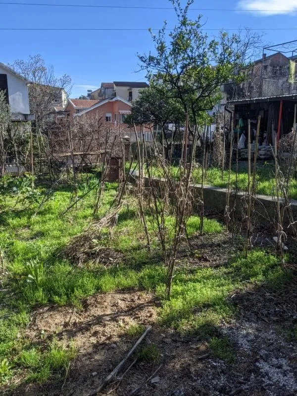Prodaja, kuća, 240m², Savina, Herceg Novi