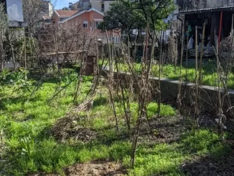 Prodaja, kuća, 240m², Savina, Herceg Novi - image 12