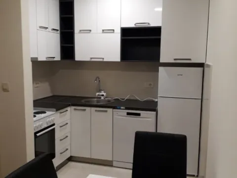 Izdavanje, jednosoban stan, 44m², Zagorič, Podgorica - image 4