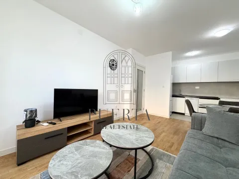 Rent, one bedroom apartment, 42m², Stari Aerodrom, Podgorica - image 3