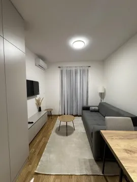 Rent, studio apartment, 26m², Zabjelo, Podgorica - image 4