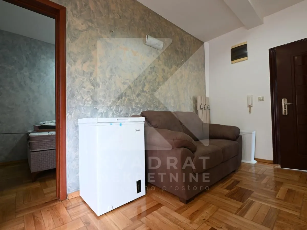 Living room with a brown sofa and a freezer.