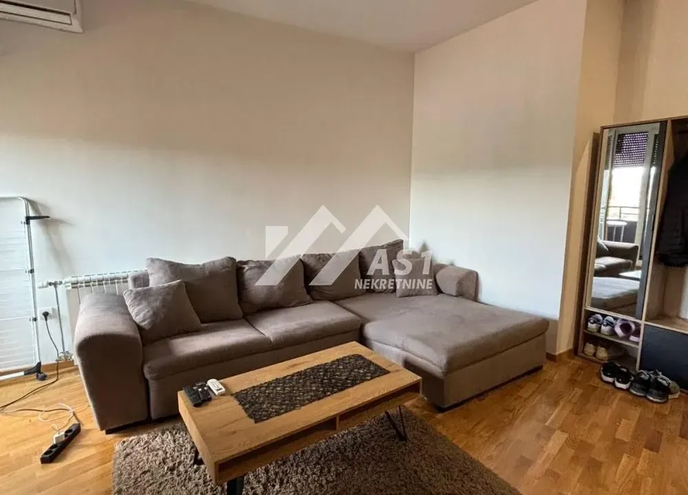 Izdavanje, stan, 31m², Bulevar patrijarha Pavla, Novi Sad Sve Podlokacije