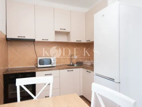 Izdavanje, jednosoban stan, 58m², Stari Aerodrom, Podgorica - image 4