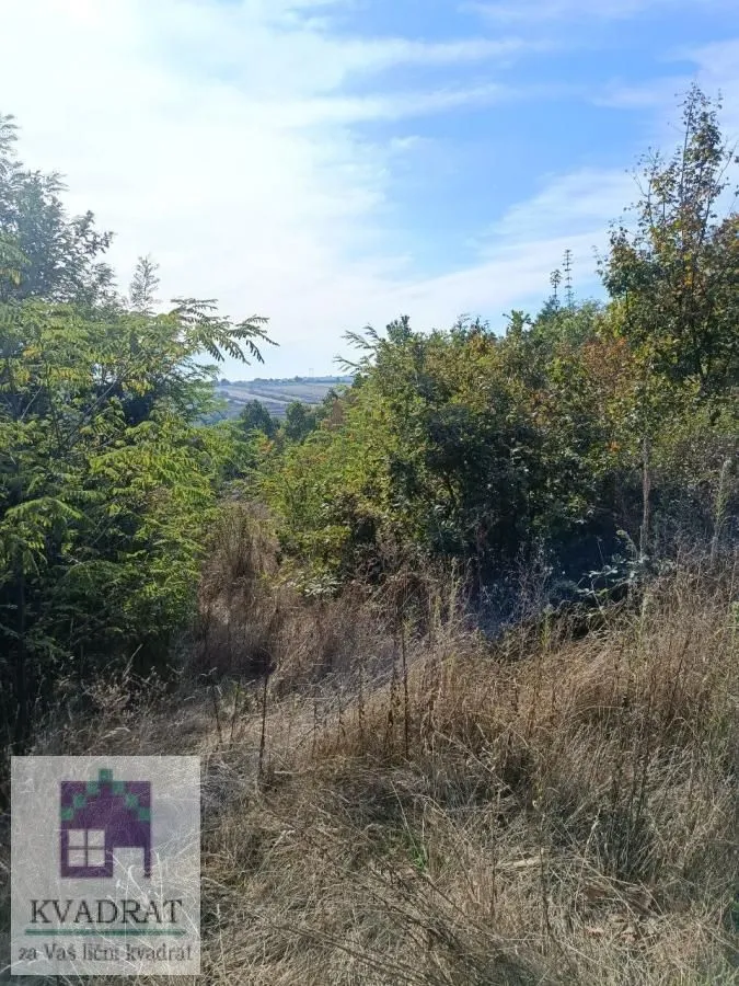 Pogled na prirodno okruženje i zelenilo na placu.