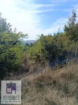 Pogled na prirodno okruženje i zelenilo na placu. - image 3