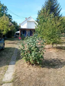 View of the yard and the front facade of the house with greenery. - image 5