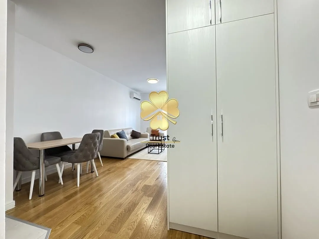 Rent, one bedroom apartment, 43m², Central Point, Podgorica