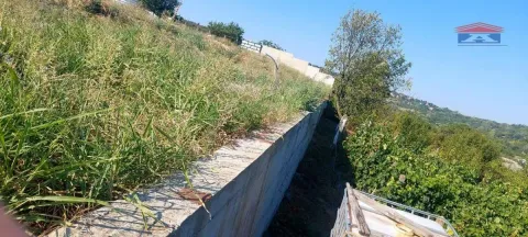 Prodaja, plac, 1430m², Alibegovac, Petrovaradin - image 8