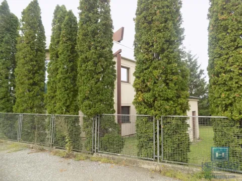 Izdavanje, poslovni prostor, 270m², 7. juli, Paraćin - image 23