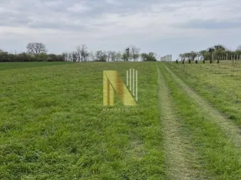 Sale, land lot, 2000m², Čortanovci, Inđija - image 3