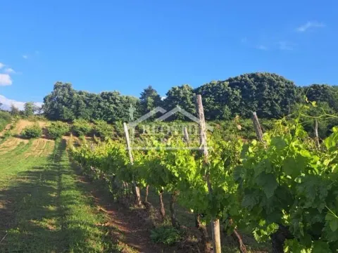 Prodaja, plac, 9563m², Grocka, Beograd - image 4