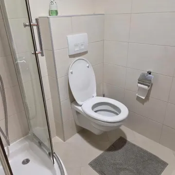 Manje kupatilo sa tuš-kabinom, WC šoljom i svijetlim keramičkim pločicama. - image 5
