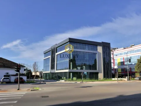 Rent, office space, 2542m², Centar, Podgorica - image 4