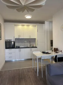 Prodaja, jednosoban stan, 43m², Preko Morače, Podgorica - image 3