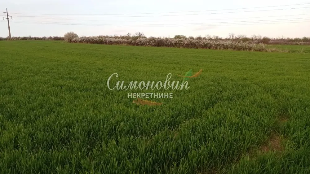 Prodaja, plac, 4200m², Železnik, Beograd